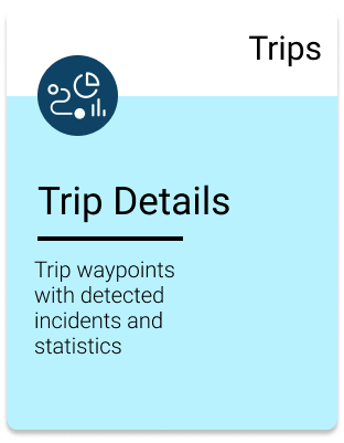 Trip details